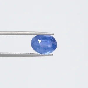 Blue Sapphire - 3731