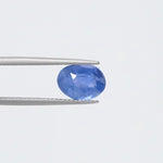 Blue Sapphire - 3731