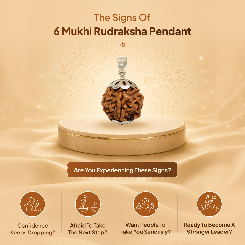 6 Mukhi Rudraksha Pendant- Nepali