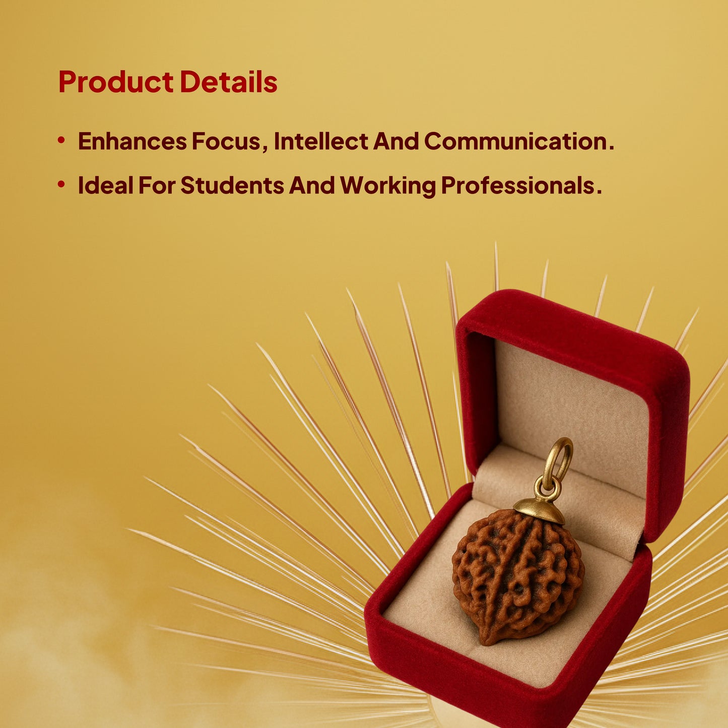 6 Mukhi Rudraksha Pendant- Nepali