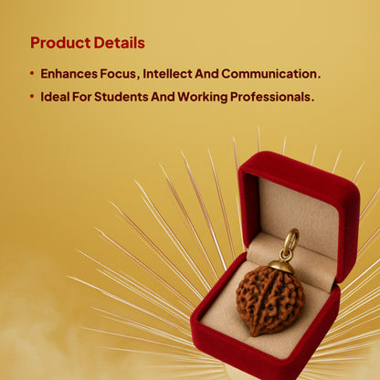 6 Mukhi Rudraksha Pendant- Nepali