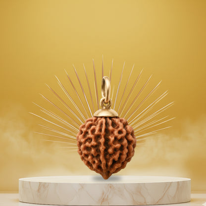 6 Mukhi Rudraksha Pendant- Nepali