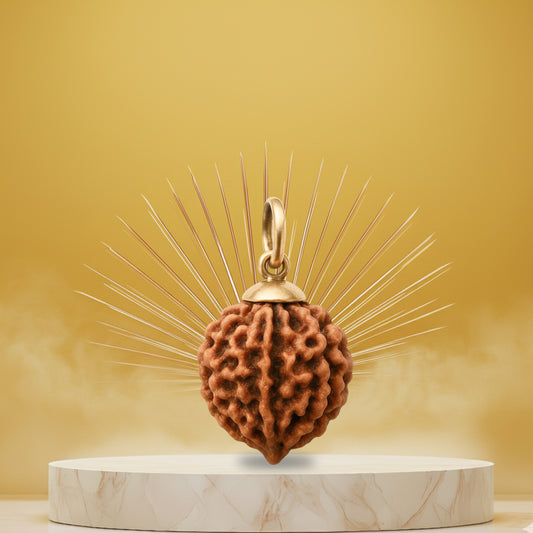 6 Mukhi Rudraksha Pendant- Nepali