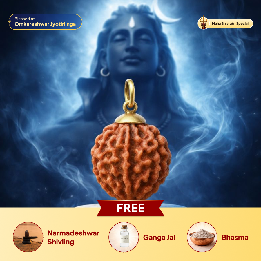 6 Mukhi Rudraksha Pendant- Nepali