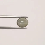 Cats Eye - 810