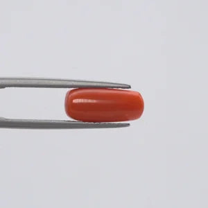 Red Coral - 116