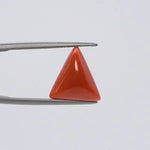 Red Coral - 3672