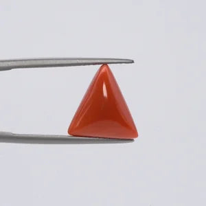 Red Coral - 3672