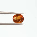 Hessonite - 1137