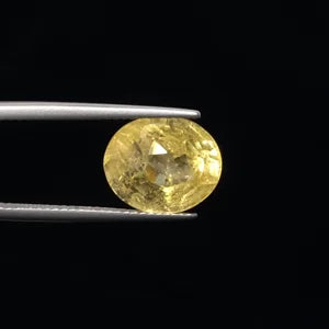 Yellow Sapphire - 2829