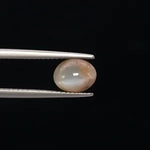 Cats Eye - 3386