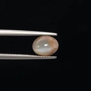 Cats Eye - 3386