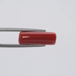 Red Coral - 1563
