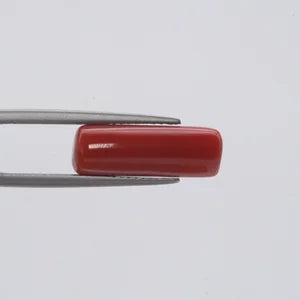Red Coral - 1563