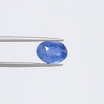 Blue Sapphire - 3731