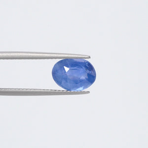 Blue Sapphire - 3731