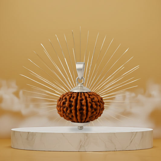 7 Mukhi Rudraksh Pendant- Nepali