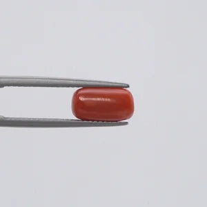 Red Coral - 146