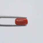 Red Coral - 146