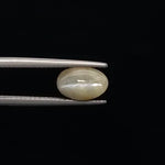 Cats Eye - 859