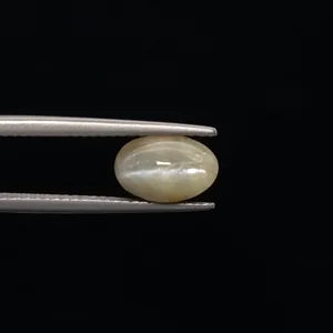 Cats Eye - 859