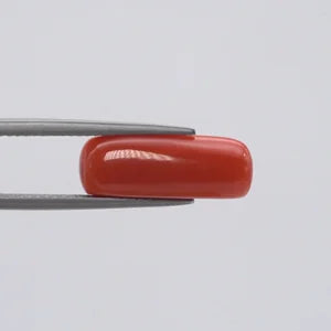 Red Coral - 286