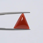 Red Coral - 3632