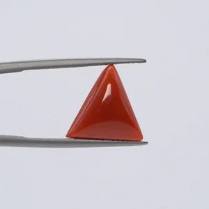Red Coral - 3632