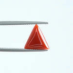 Red Coral - 1393