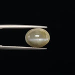 Cats Eye - 3360