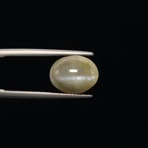 Cats Eye - 3360