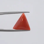 Red Coral - 1401