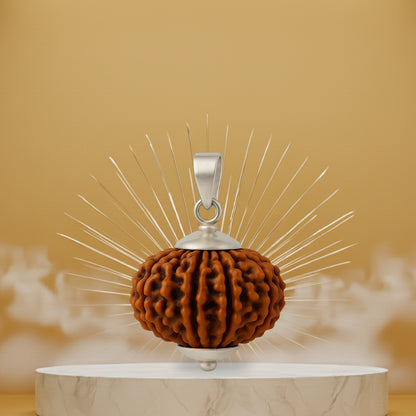 7 Mukhi Rudraksh Pendant- Nepali