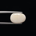 Fire Opal - 677