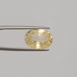 Yellow Sapphire - 3016