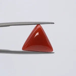 Red Coral - 3642