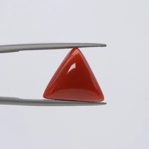Red Coral - 3642