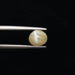 Cats Eye - 827