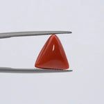 Red Coral - 3631