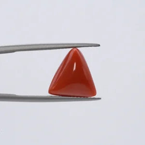 Red Coral - 3631