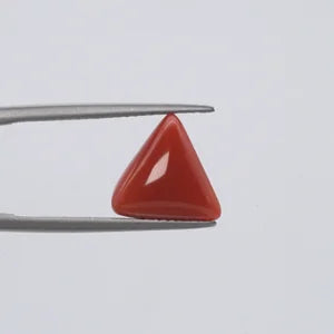 Red Coral - 337