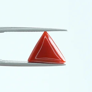 Red Coral - 1376