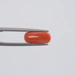 Red Coral - 128