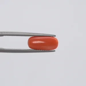 Red Coral - 128