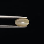 Cats Eye - 3380