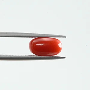 Red Coral - 352