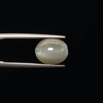 Cats Eye - 3361