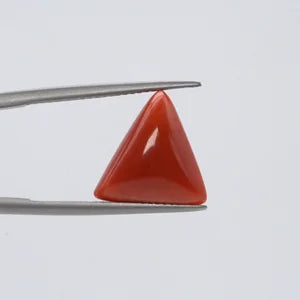 Red Coral - 3659