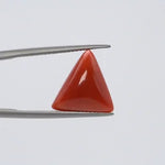 Red Coral - 3659