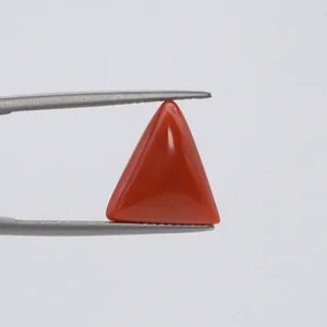 Red Coral - 3665